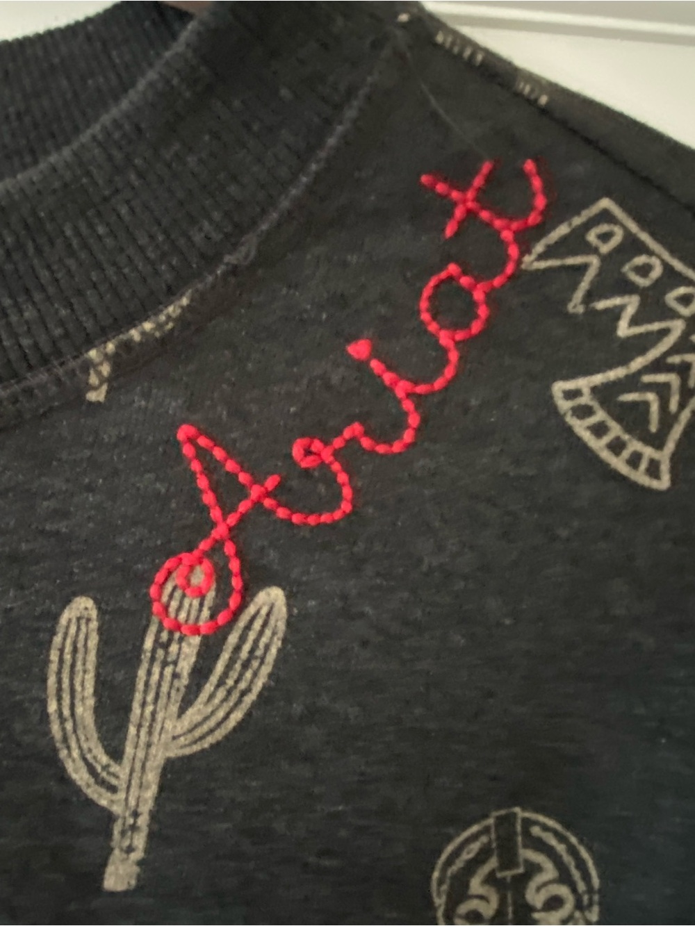 Southwestern Graphic Sweatshirt with Tan Motifs - Picture 2 of 3